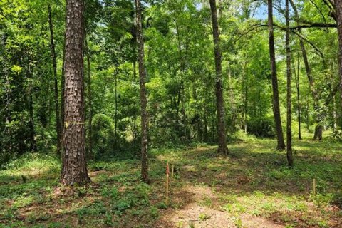 Land in Ocala, Florida № 1835474 - photo 5