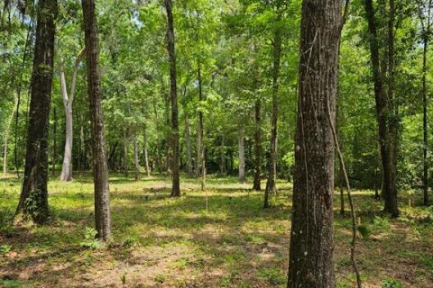 Land in Ocala, Florida № 1835474 - photo 2