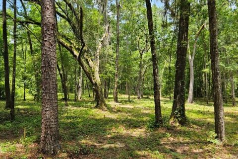 Land in Ocala, Florida № 1835474 - photo 6