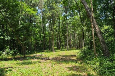 Land in Ocala, Florida № 1835474 - photo 3