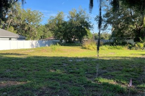 Terrain à vendre à Parrish, Floride № 1109502 - photo 5