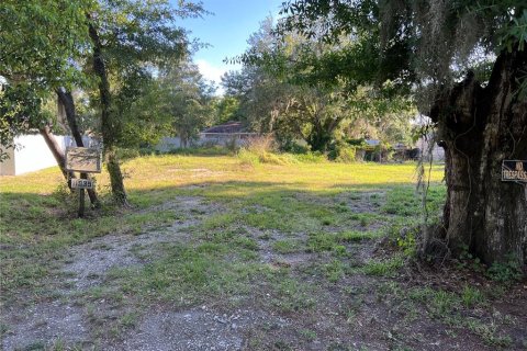 Terrain à vendre à Parrish, Floride № 1109502 - photo 3