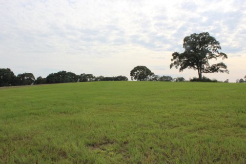 Terreno en venta en De Funiak Springs, Florida № 559120 - foto 1