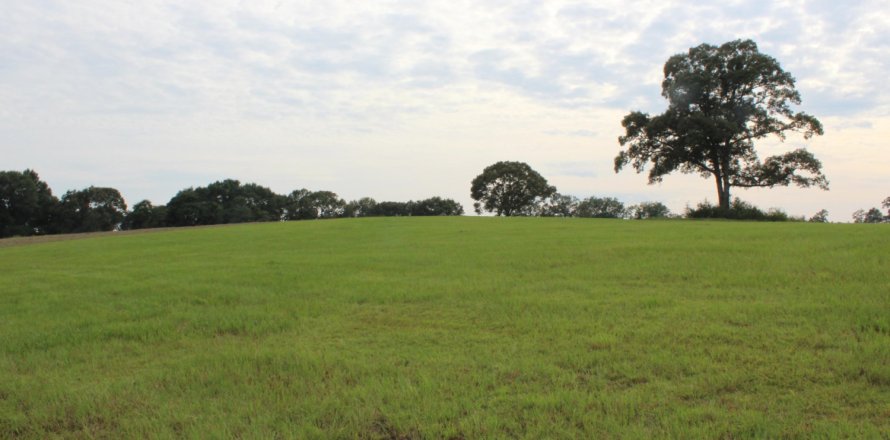Land in De Funiak Springs, Florida № 559120