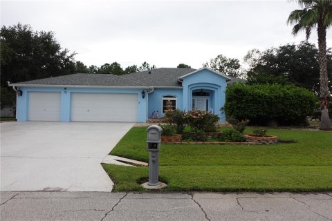 Villa ou maison à vendre à Palm Coast, Floride: 3 chambres, 234.95 m2 № 2329444 - photo 3