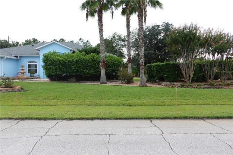 Villa ou maison à vendre à Palm Coast, Floride: 3 chambres, 234.95 m2 № 2329444 - photo 5