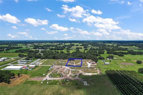 Land in Bushnell, Florida № 1514506 - photo 1