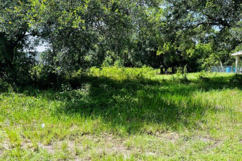 Commercial property in Lake Placid, Florida № 2179338