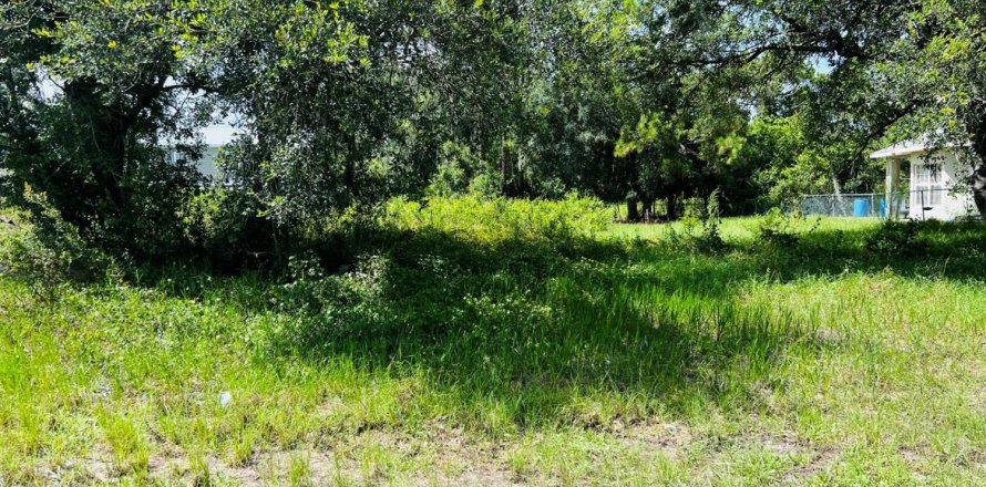 Commercial property in Lake Placid, Florida № 2179338
