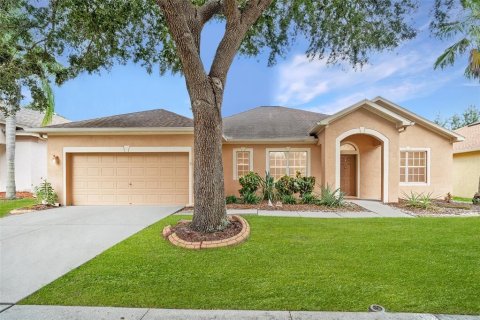 Villa ou maison à vendre à Riverview, Floride: 3 chambres, 242.75 m2 № 1851424 - photo 1