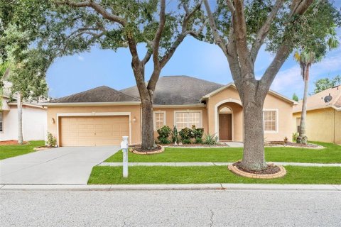 Villa ou maison à vendre à Riverview, Floride: 3 chambres, 242.75 m2 № 1851424 - photo 2