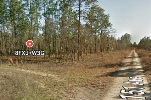 Land in Williston, Florida № 2229466 - photo 4