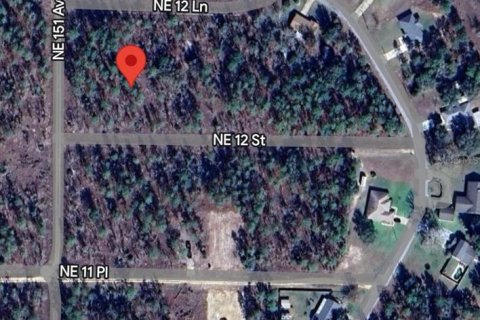 Land in Williston, Florida № 2229466 - photo 2