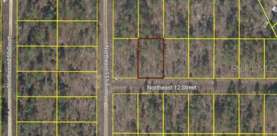 Land in Williston, Florida № 2229466