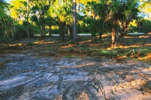 Terrain à vendre à Port Charlotte, Floride № 2211722 - photo 6