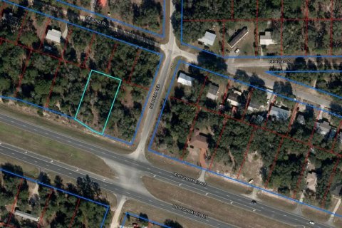 Land in Williston, Florida № 2214042 - photo 2