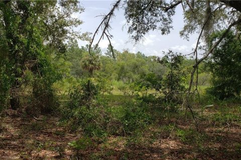 Land in Williston, Florida № 2214042