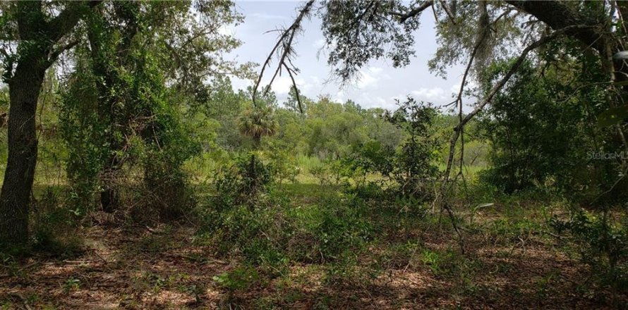 Land in Williston, Florida № 2214042
