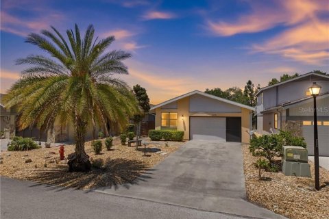 Villa ou maison à Homosassa, Floride 2 chambres, 126.53 m2 № 2209052