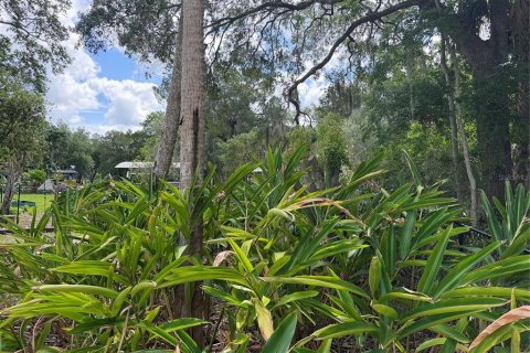 Casa en venta en Homosassa, Florida, 3 dormitorios, 192.03 m2 № 2200694 - foto 12