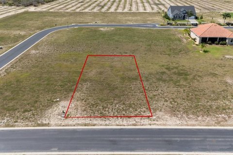 Land in Auburndale, Florida № 1765802 - photo 4