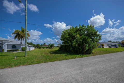 Terreno en venta en Cape Coral, Florida № 1950210 - foto 11