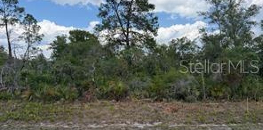 Terrain à Sebring, Floride № 2236495