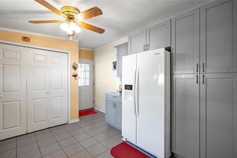 Villa ou maison à vendre à Tampa, Floride: 4 chambres, 196.3 m2 № 1909496 - photo 9