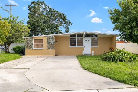 Villa ou maison à vendre à Tampa, Floride: 4 chambres, 196.3 m2 № 1909496 - photo 1