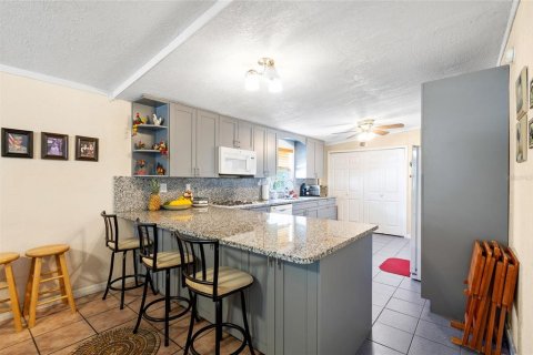 Villa ou maison à vendre à Tampa, Floride: 4 chambres, 196.3 m2 № 1909496 - photo 6