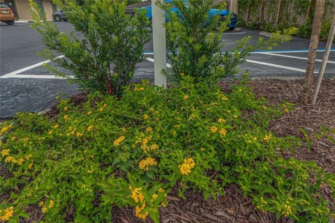 Immobilier commercial à louer à DeLand, Floride: 135.54 m2 № 2108847 - photo 3