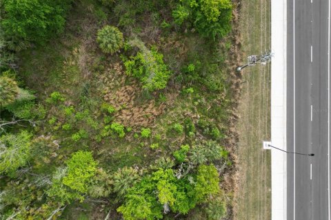 Land in Oviedo, Florida № 2144866 - photo 3