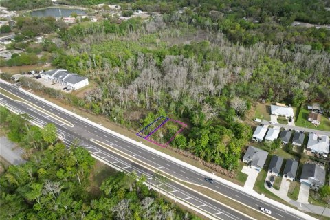 Land in Oviedo, Florida № 2144866 - photo 21
