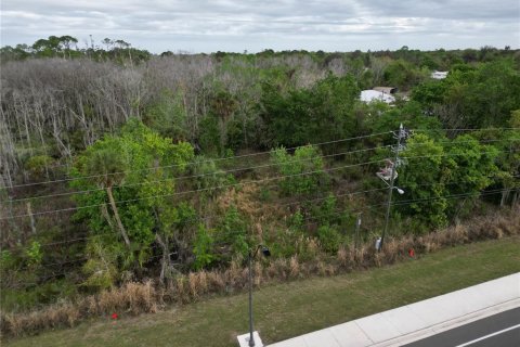 Land in Oviedo, Florida № 2144866 - photo 7
