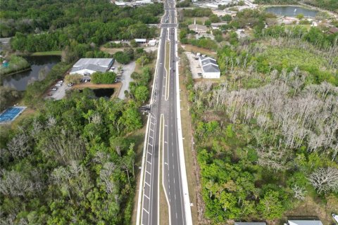 Land in Oviedo, Florida № 2144866 - photo 20