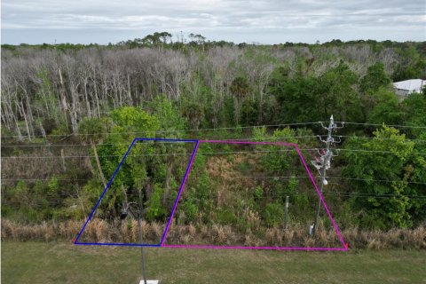 Land in Oviedo, Florida № 2144866 - photo 9
