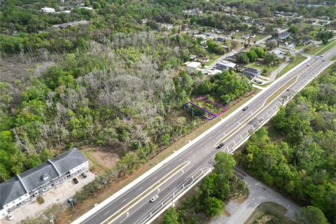 Land in Oviedo, Florida № 2144866 - photo 23