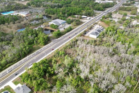 Land in Oviedo, Florida № 2144866 - photo 18
