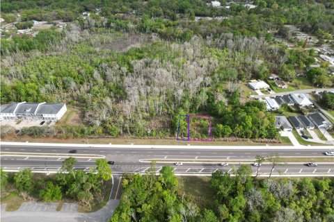 Land in Oviedo, Florida № 2144866 - photo 11
