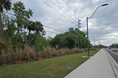 Land in Oviedo, Florida № 2144866 - photo 4