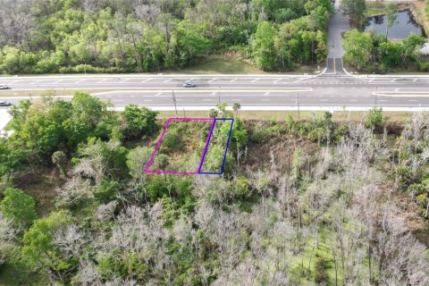 Land in Oviedo, Florida № 2144866 - photo 16
