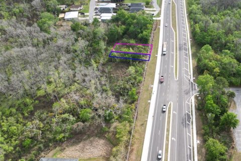 Land in Oviedo, Florida № 2144866 - photo 13