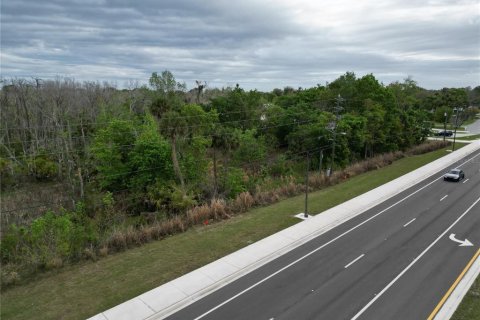 Land in Oviedo, Florida № 2144866 - photo 5