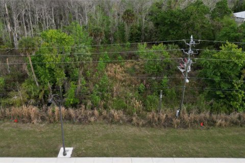 Land in Oviedo, Florida № 2144866 - photo 8
