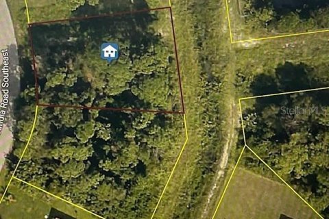 Land in Palm Bay, Florida № 2163813 - photo 2