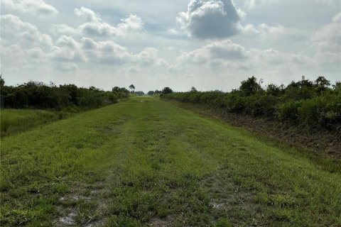 Terrain à vendre à Okeechobee, Floride № 2237473 - photo 6