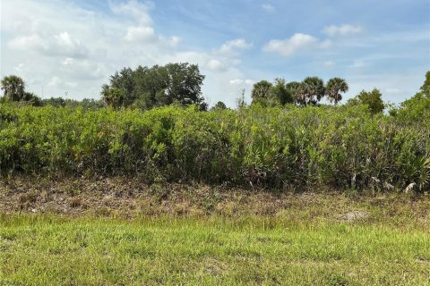 Terreno en Okeechobee, Florida № 2237473