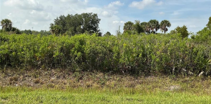 Terrain à Okeechobee, Floride № 2237473