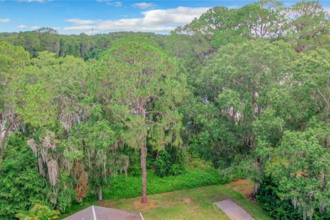 Terreno en venta en Odessa, Florida № 1732526 - foto 13