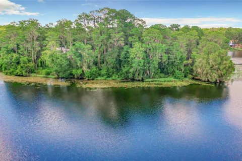 Terreno en venta en Odessa, Florida № 1732526 - foto 18